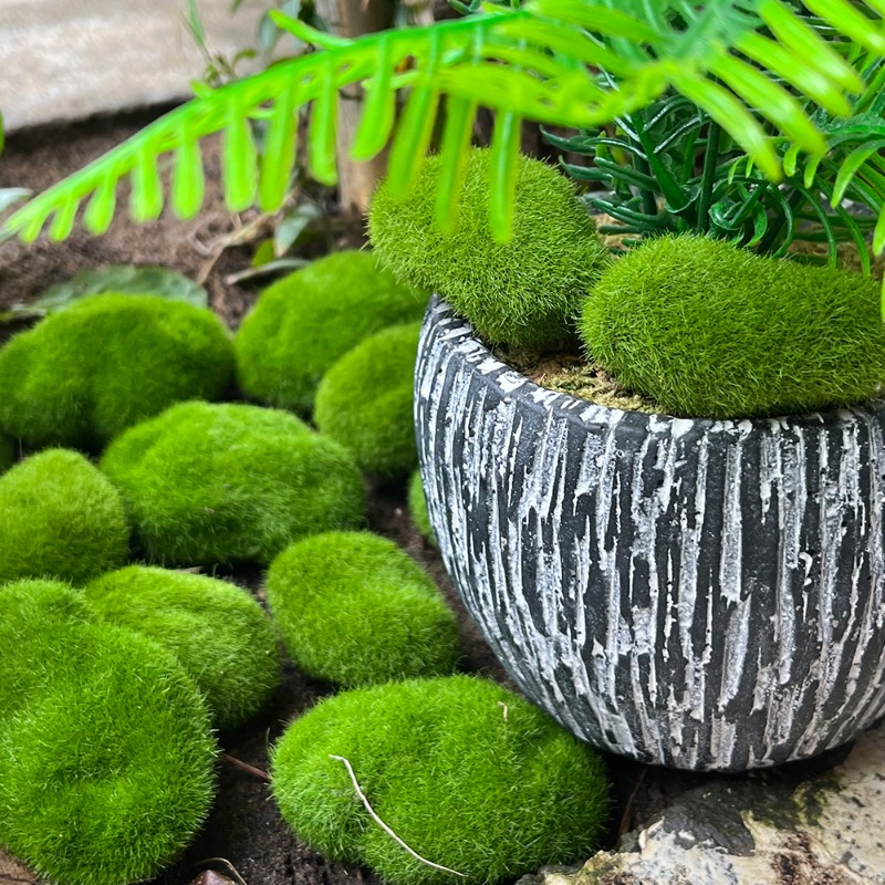 100/5PCS Artificial Moss Rock  - Preserved Moss Sheet recension och pris