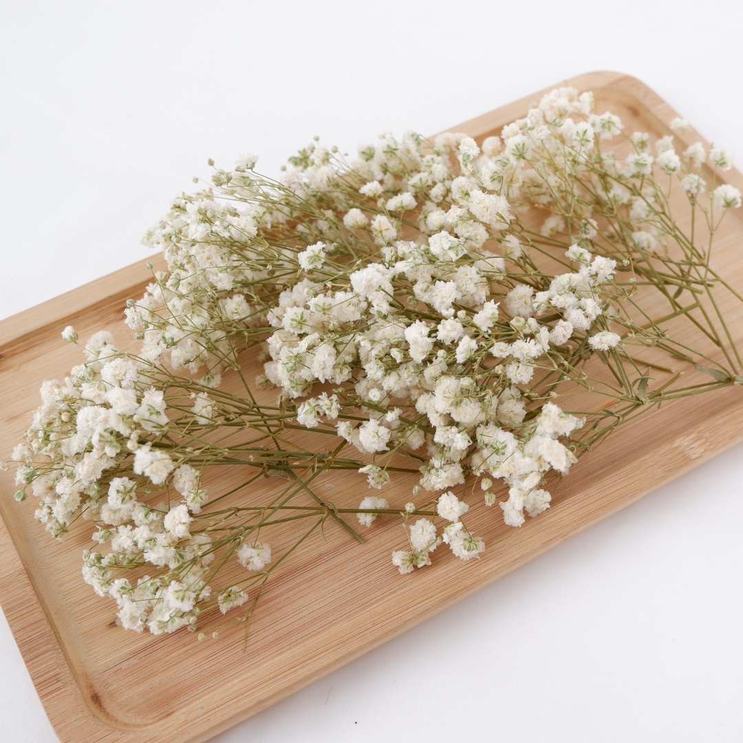 Dried Flowers White Mini Dried - Baby Breath Dried recension och pris