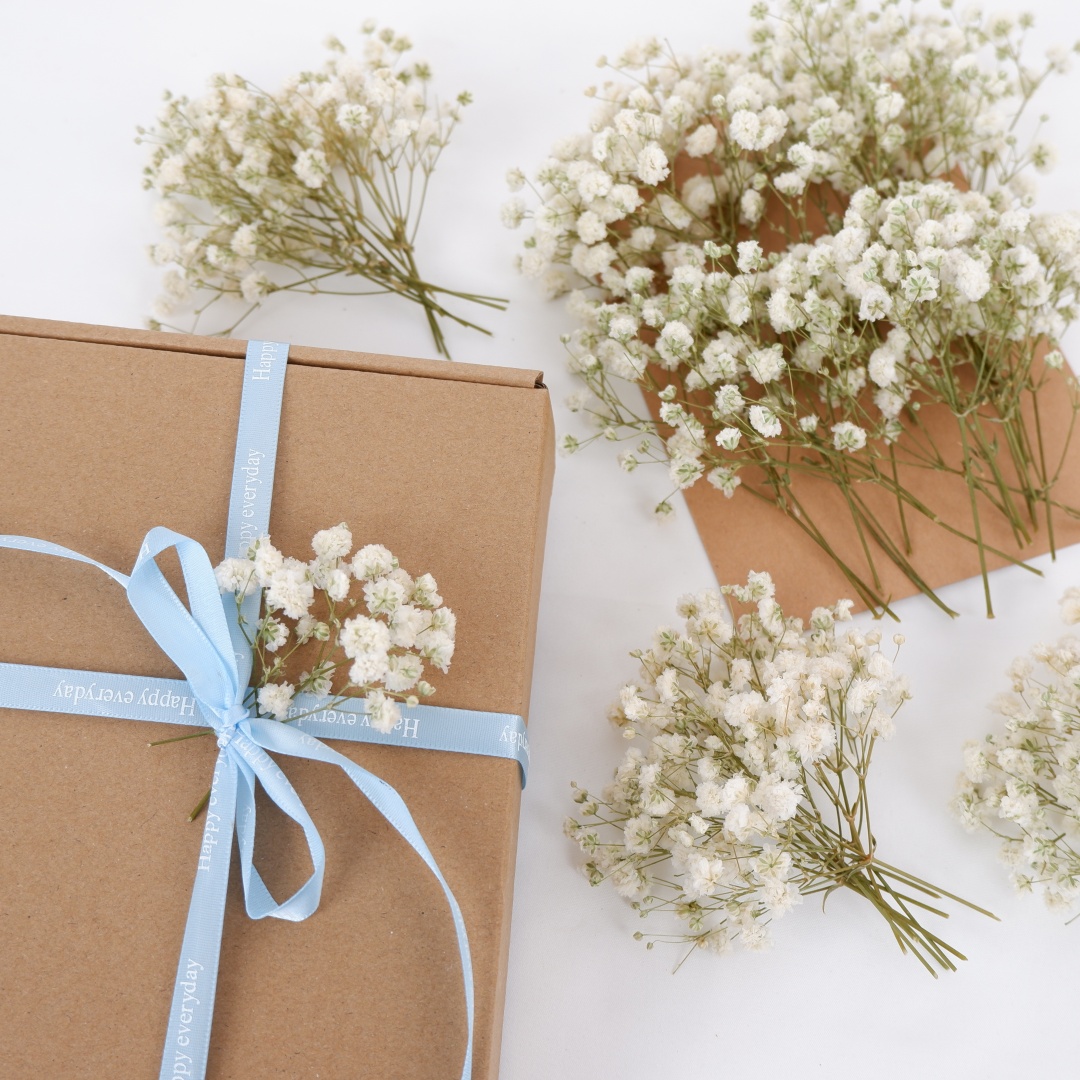 Dried Flowers White Mini Dried - Baby Breath Dried recension och pris