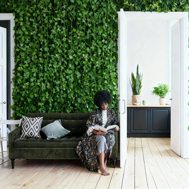 24 PCS Total 19m/755inch Ivy G - Preserved Moss Sheet recension och pris