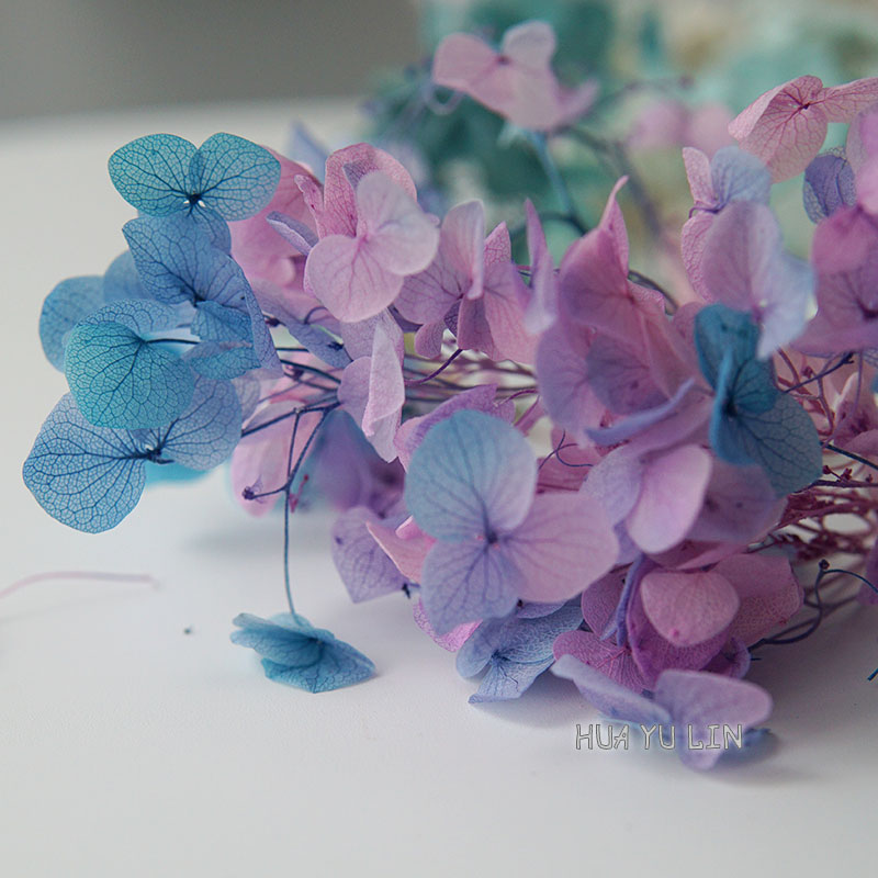 Ombre Gradient Dried Preserved - Baby Breath Dried recension och pris