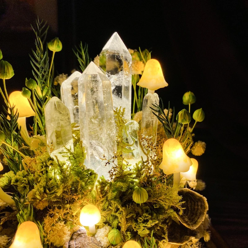 Enchanted Forest Mushroom Nigh - Preserved Moss Sheet recension och pris