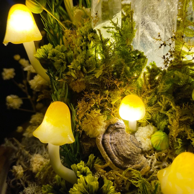 Enchanted Forest Mushroom Nigh - Preserved Moss Sheet recension och pris