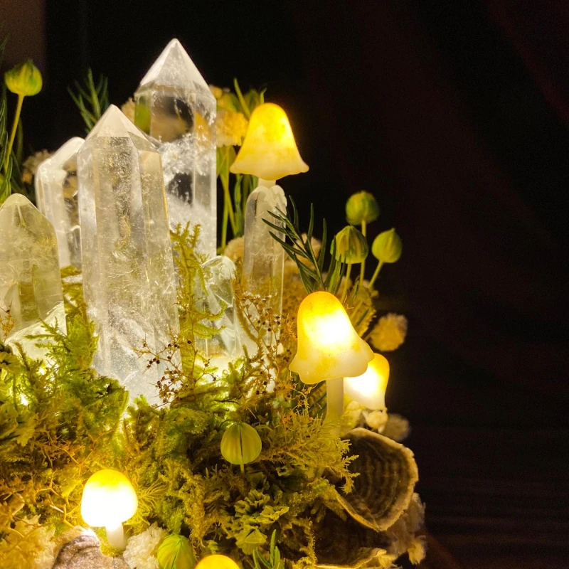 Enchanted Forest Mushroom Nigh - Preserved Moss Sheet recension och pris