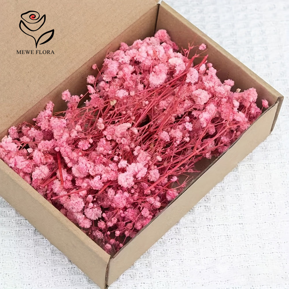 100 Small Branch Dried Baby's  - Baby Breath Dried recension och pris